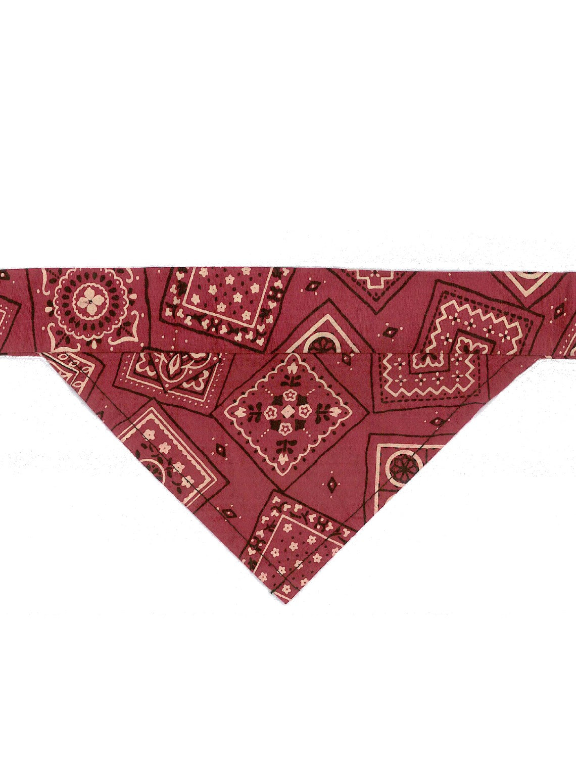 K9 Coolers - Red Bandana