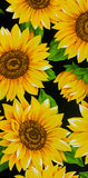 Cooling Tie - Sunflowers