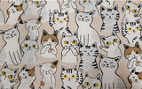 Mat Nip - Brown Kitties