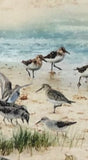 Cooling Tie - Sand Piper